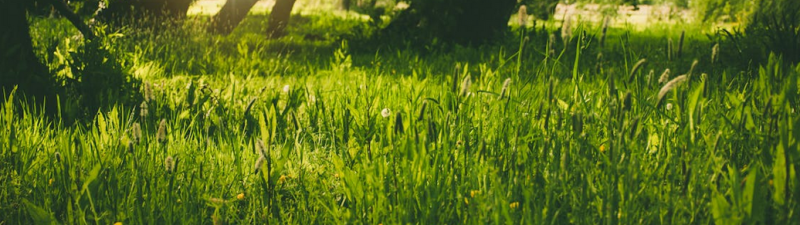 J'AIME LA NATURE PROPRE